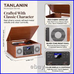 10 in 1 Bluetooth Record Player All-In-One Multimedia Center Stereo Speakers