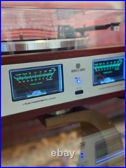 ANGELS HORN Bluetooth Turntable with Built-in Phono Preamp, 2-Speed Belt Drive