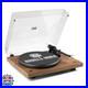 ANGELS_HORN_Turntable_Vinyl_Record_Player_Built_in_Phono_Preamp_Belt_Drive_01_jrfz