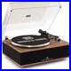 ANGELS_HORN_Vinyl_Record_Player_Bluetooth_Turntable_with_Built_in_Speakers_01_tqem