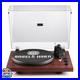 ANGELS_HORN_Vinyl_Record_Player_Turntable_with_2_Speed_Belt_Drive_Bluetooth_01_nrwx