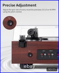 ANGELS HORN Vinyl Record Player with Speakers Bluetooth Turntable #R019