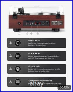 ANGELS HORN Vinyl Record Player with Speakers Bluetooth Turntable #R019