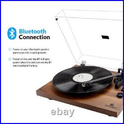 Angels Horn Vintage Record Player Turntable Bluetooth Two-Speed 33 1/3&45 Rpm US
