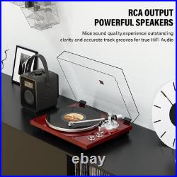 Belt Drive Turntable for Vinyl Record Player, Bluetooth Output, Built-In Phono P
