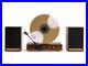 Fuse_GLD_Vertical_Vinyl_Record_Player_with_Speakers_Bluetooth_AUX_Gold_Trim_01_dz