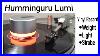 Humminguru_Lumi_A_125_Pound_Record_Weight_01_pqz
