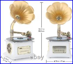 Mini Record Player with Aluminum Base, Copper Horn Phonograph Bluetooth Speaker