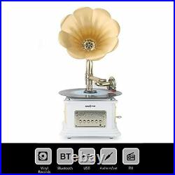 Mini Record Player with Aluminum Base Phonograph Bluetooth Speaker Aux-inAux