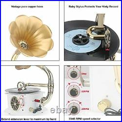 Mini Record Player with Aluminum Base Phonograph Bluetooth Speaker Aux-inAux