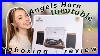 My_New_Record_Player_Unboxing_And_Reviewing_Angels_Horn_H00501_Hi_Fi_Turntable_01_ng