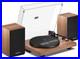 Seeying_H007_Bluetooth_Turntable_Record_Player_36W_Speakers_Usb_Belt_Drive_01_fpdi