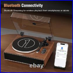 Vinyl Record Player with Bluetooth Input, All-In-One Turntable with Built-In Spe