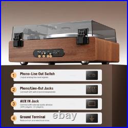 Vinyl Record Player with Bluetooth Input, All-In-One Turntable with Built-In Spe