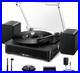 Vinyl_Record_Player_with_Dual_Stereo_Speakers_Belt_Drive_Vintage_Turntable_fo_01_weh