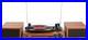 Vinyl_Record_Player_with_Speakers_Bluetooth_Portable_Turntable_for_Vinyl_Records_01_yz